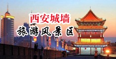 黑人巨屌干美少妇AV中国陕西-西安城墙旅游风景区