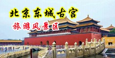 https://69xx.one/video/98998中国北京-东城古宫旅游风景区